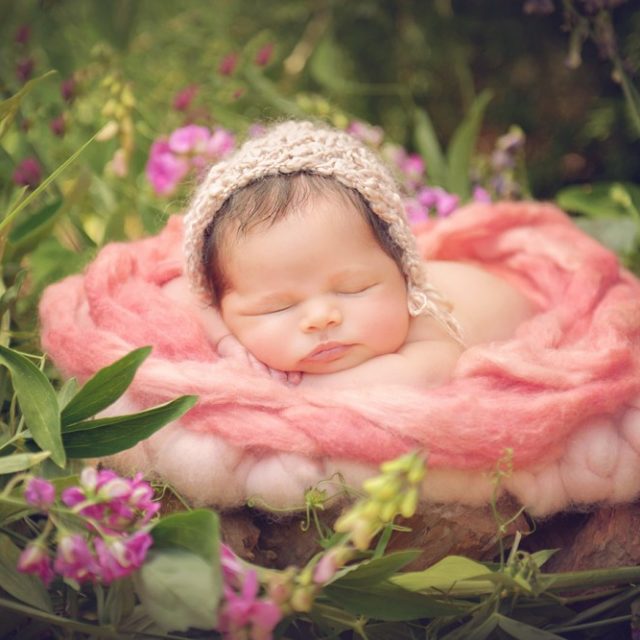 sleeping newborn baby in garden with flowers - boulder newborn photographer