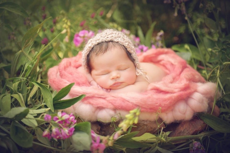sleeping newborn baby in garden with flowers - boulder newborn photographer