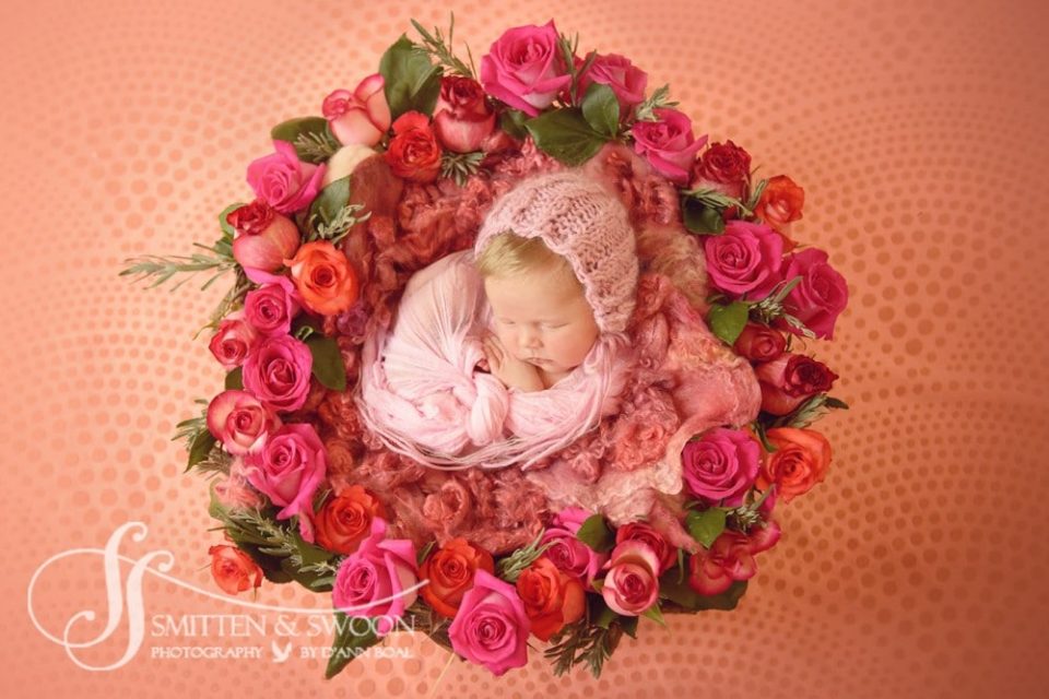 denver-newborn-photographer