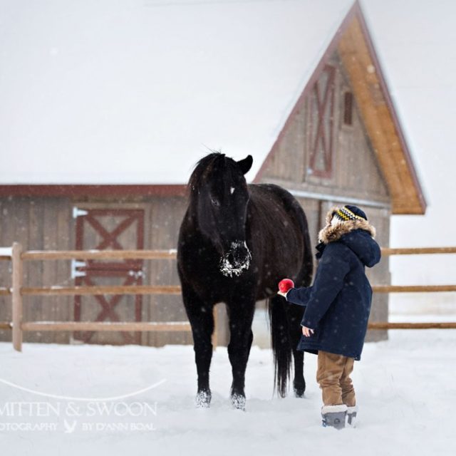 horse-and-boy