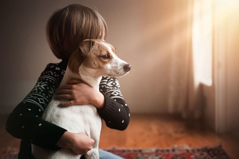 boy hugging his puppy in beautiful light