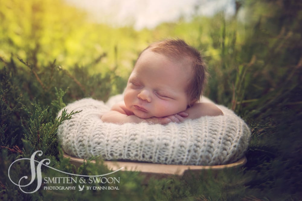 newborn baby sleeping in garden {boulder newborn photographer}