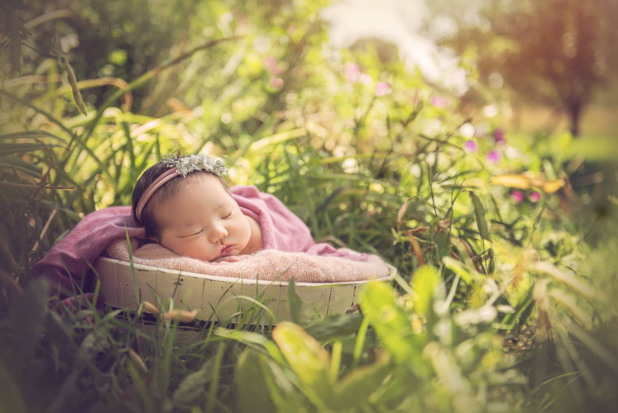 newborn baby girl sleeping in basket in flower garden - boulder newborn photographer