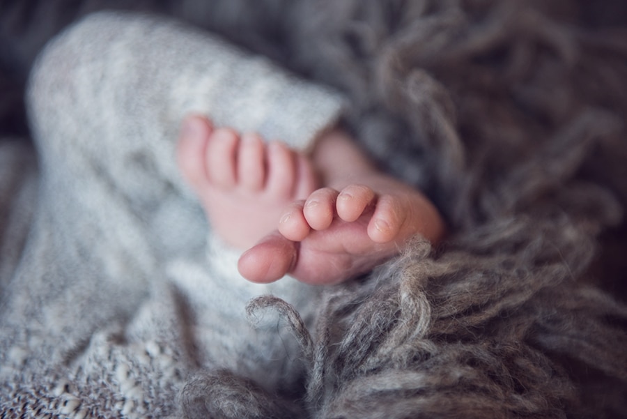 newborn baby toes macro image - boulder photographer