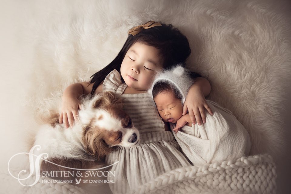 newborn sister and king charles cavalier sleeping with newborn baby brother - boulder photographer