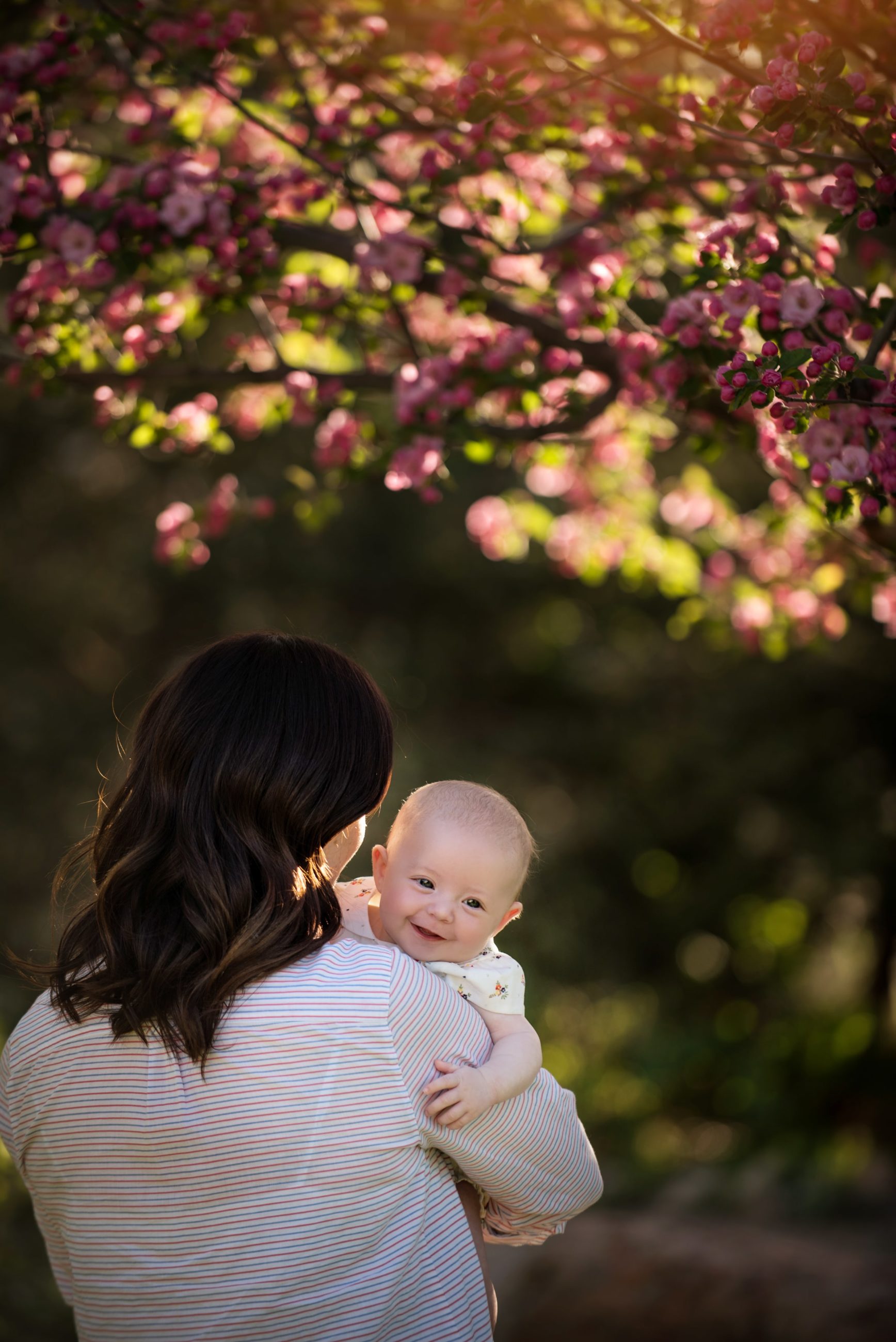 mother holding her smiling baby girl underneath a pink cherry blossom tree - boulder creative photographer