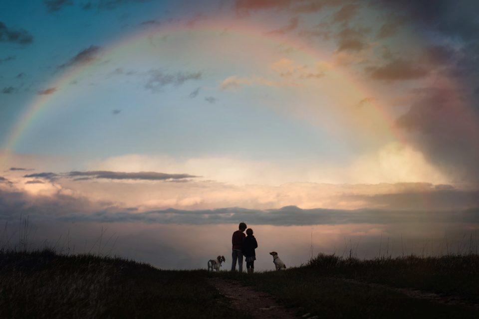 two children standing under a rainbow with two puppies - boulder photographer