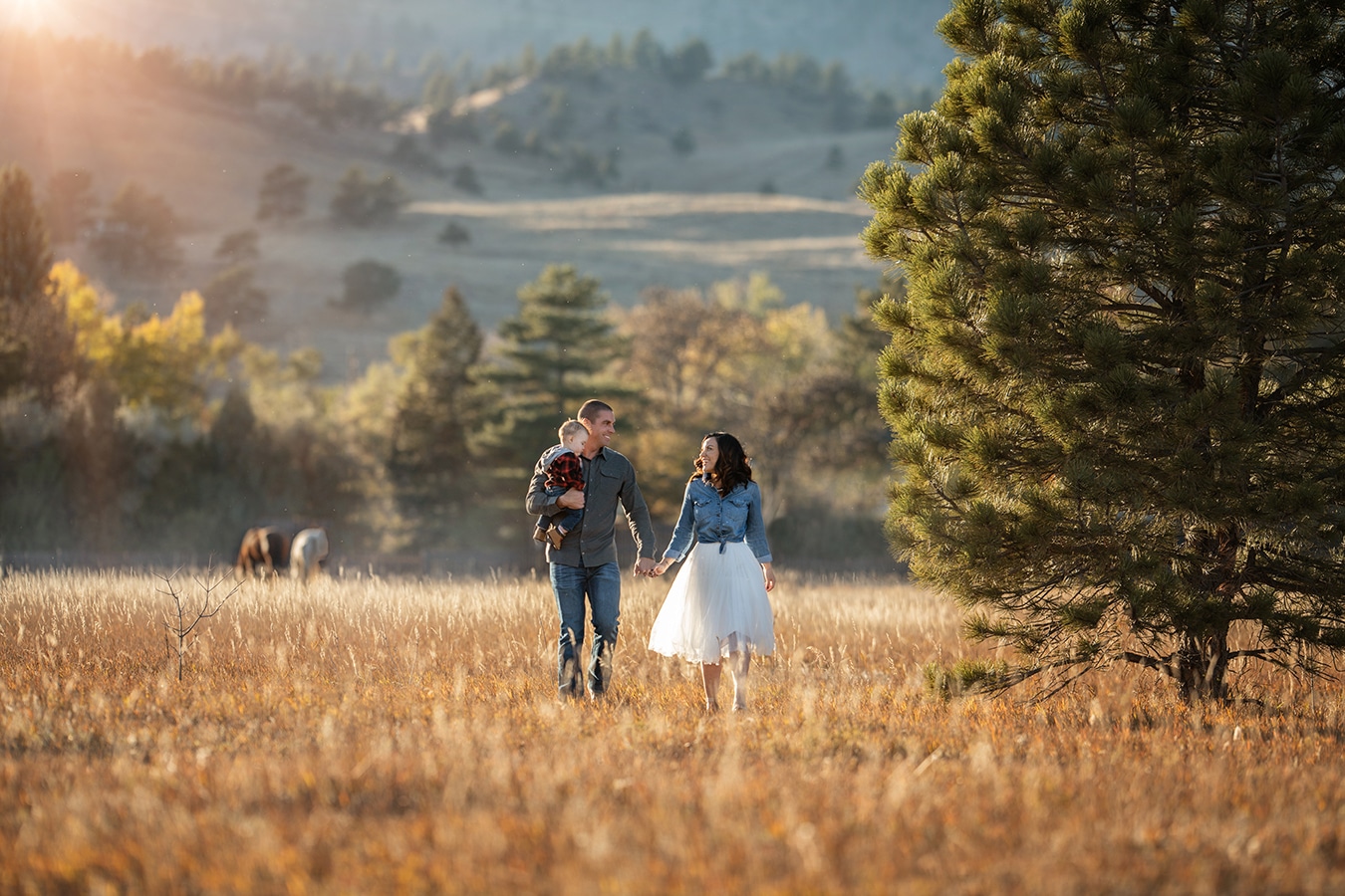 family of three walking in golden field with horses and tulle skirt - boulder newborn photographer