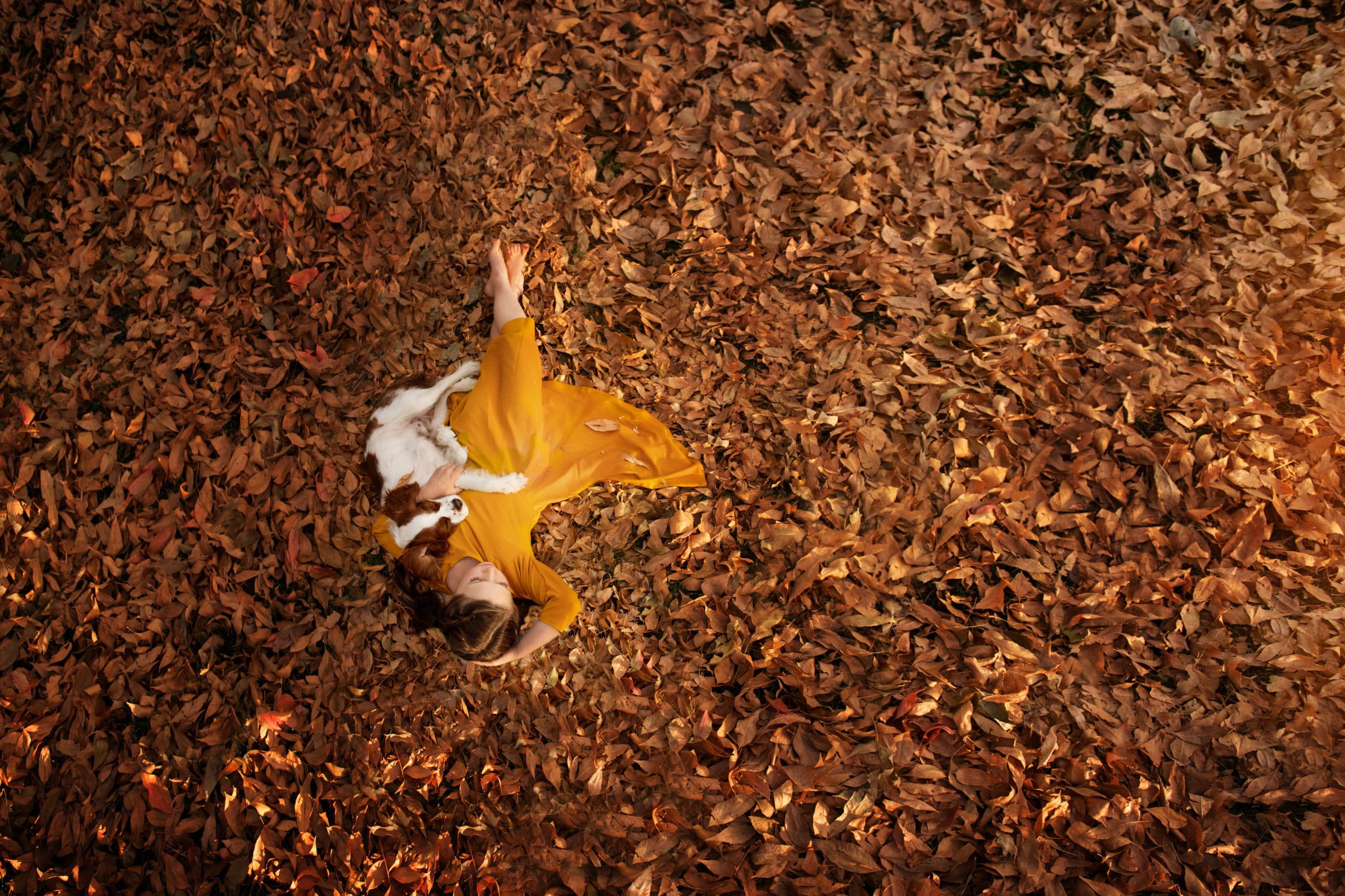 girl and puppy laying in field of yellow leaves with yellow dress - boulder photographer