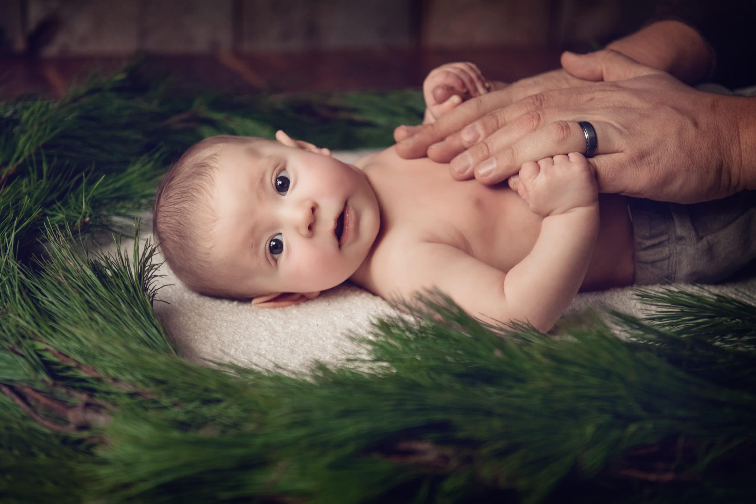baby boy laying in evergreen boughs with dad's hands - boulder baby photographer