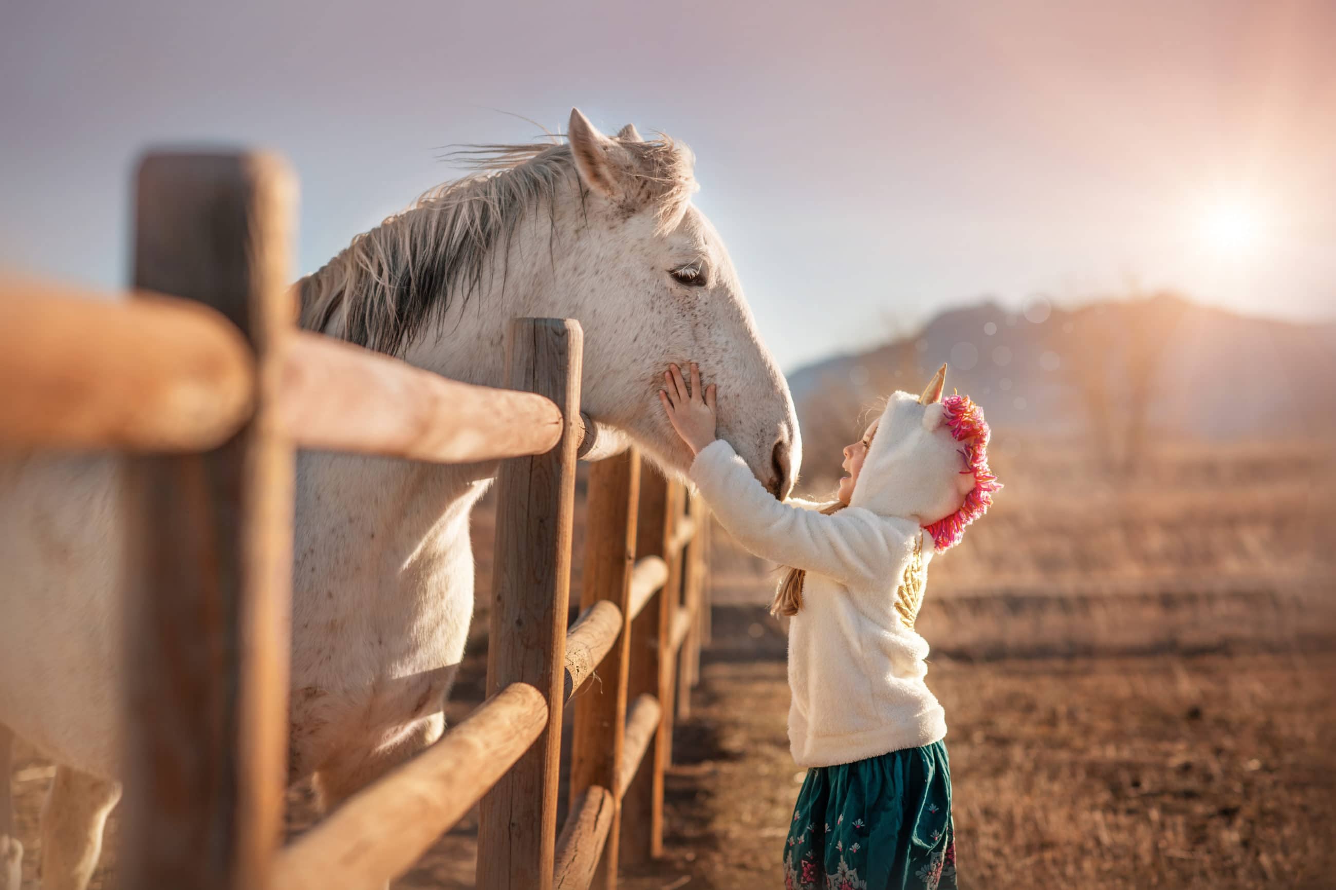 little girl wearing unicorn shirt hugging a white horse - boulder photographer