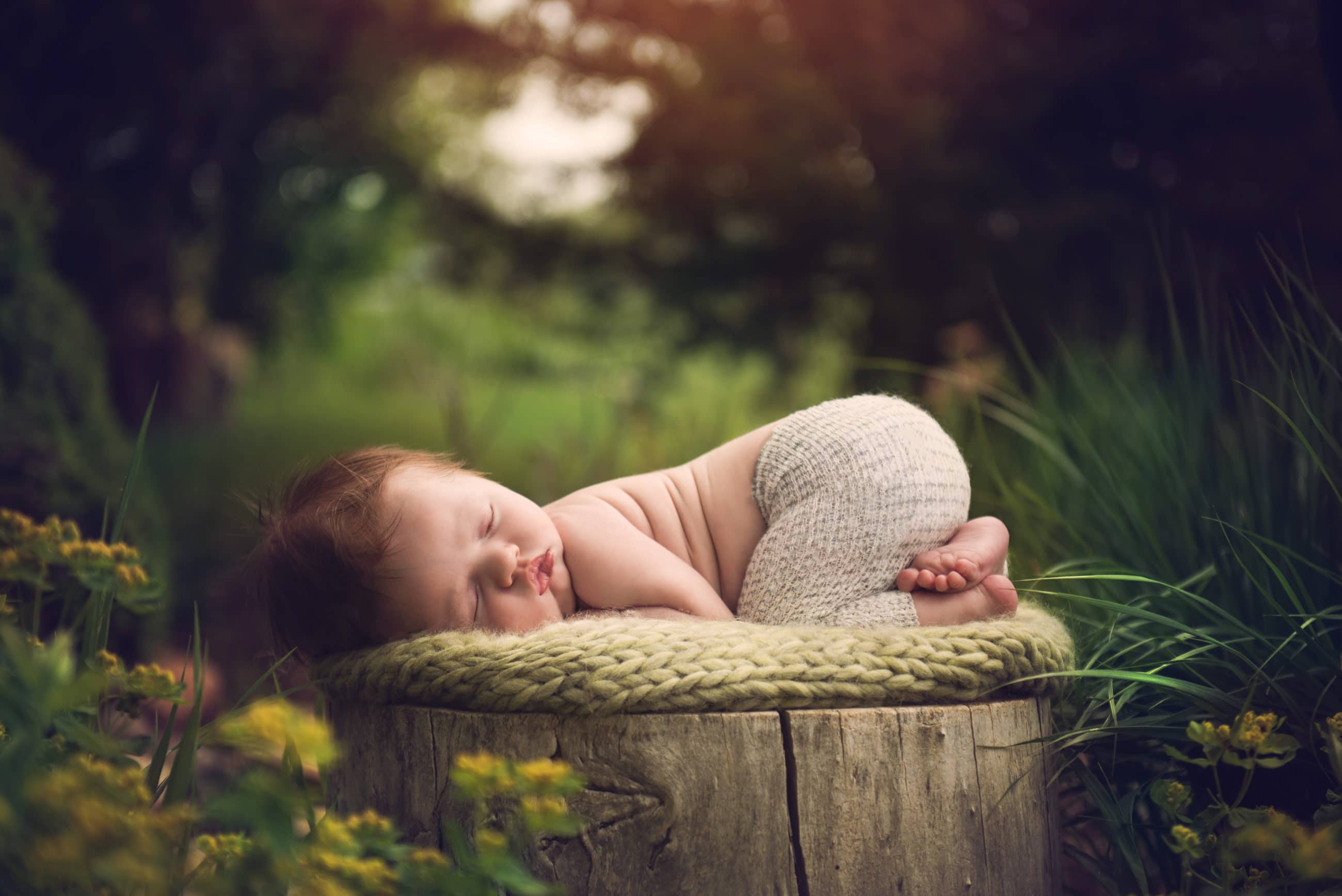 newborn baby pose on tree stump outside in garden knee to elbow pose - boulder photographer