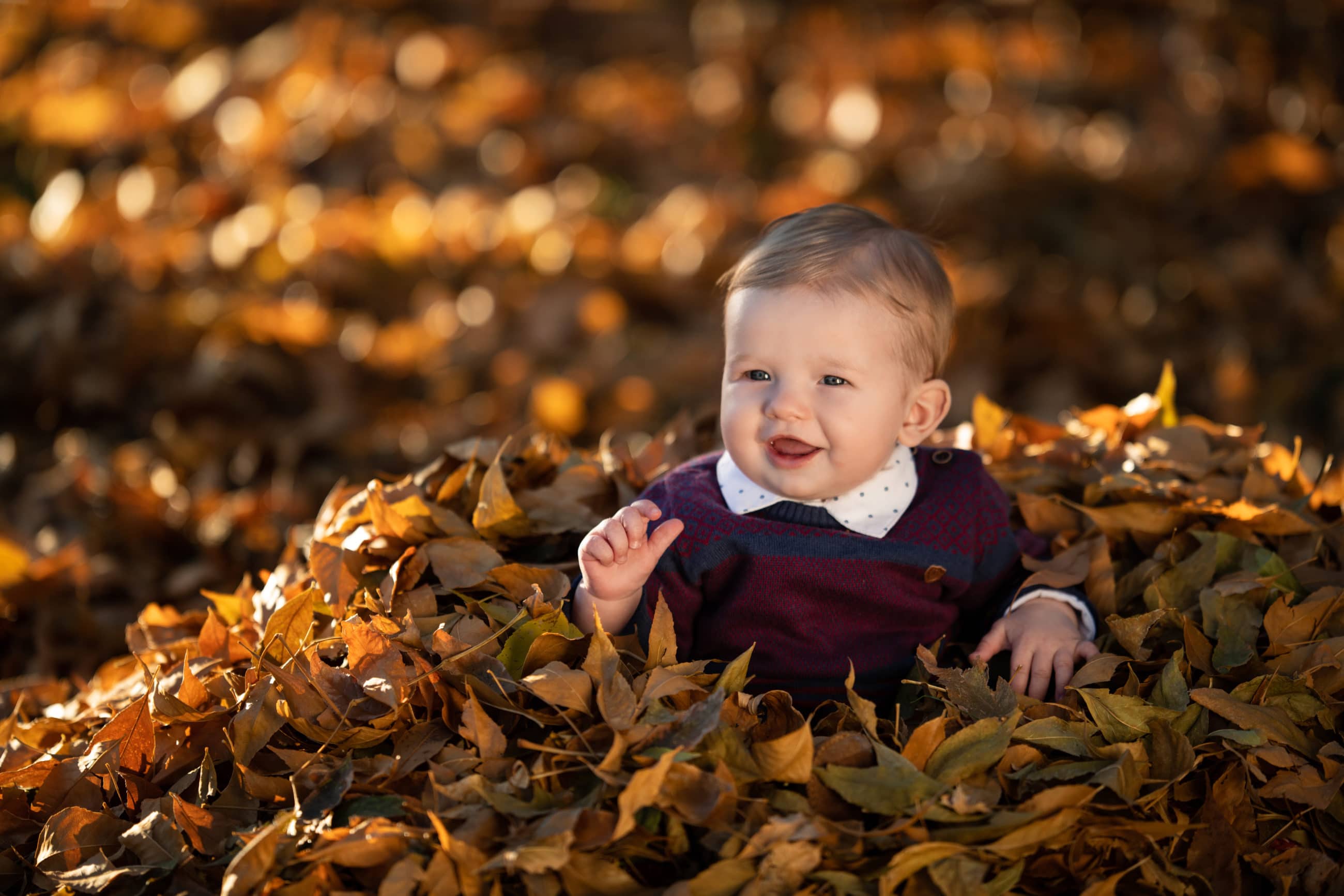 six month old baby boy in pile of golden fall leaves - boulder photographer