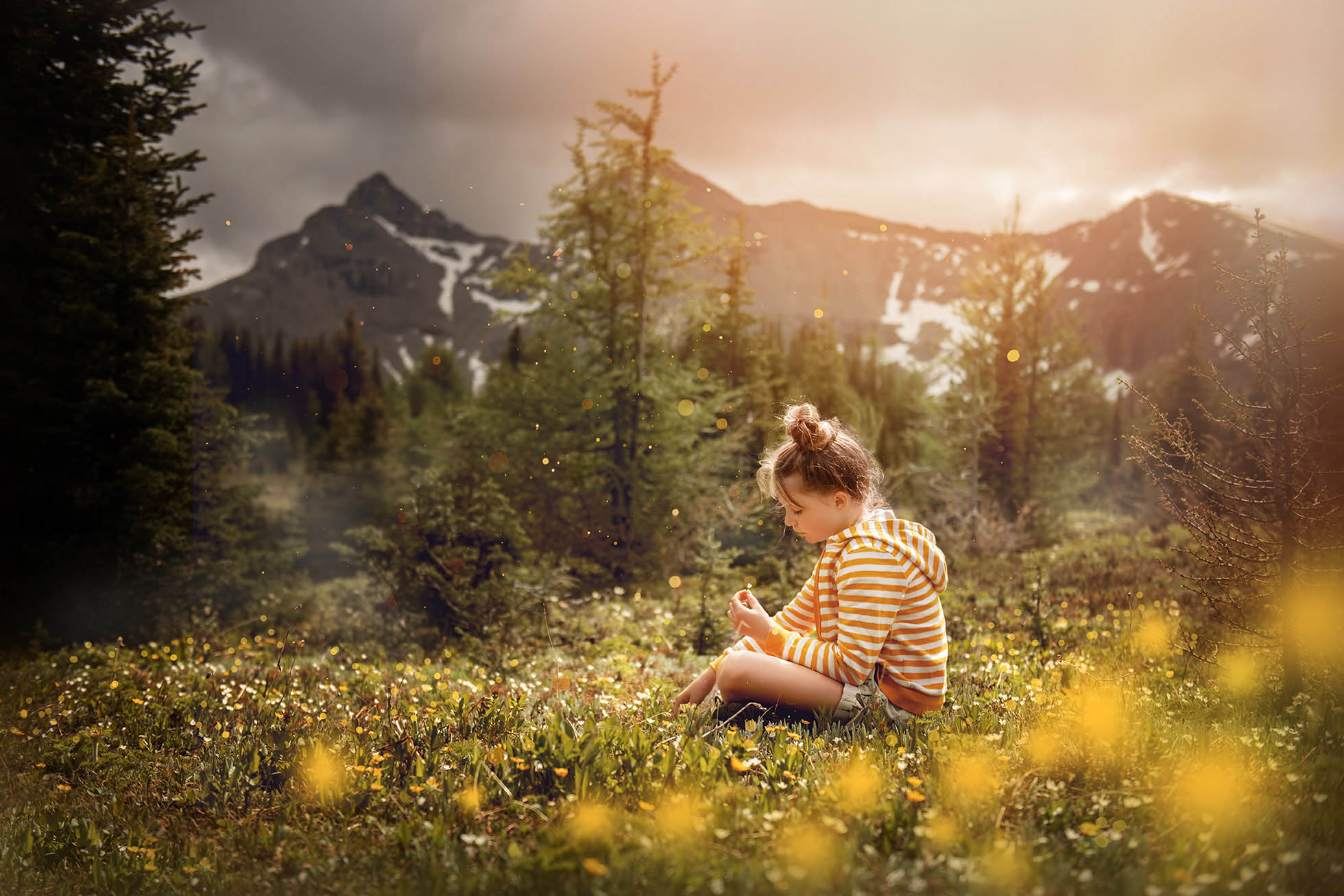 girl in yellow field of flowers - Boulder newborn child & family photographer | the experience