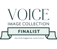 Voice Image Collection Finalist