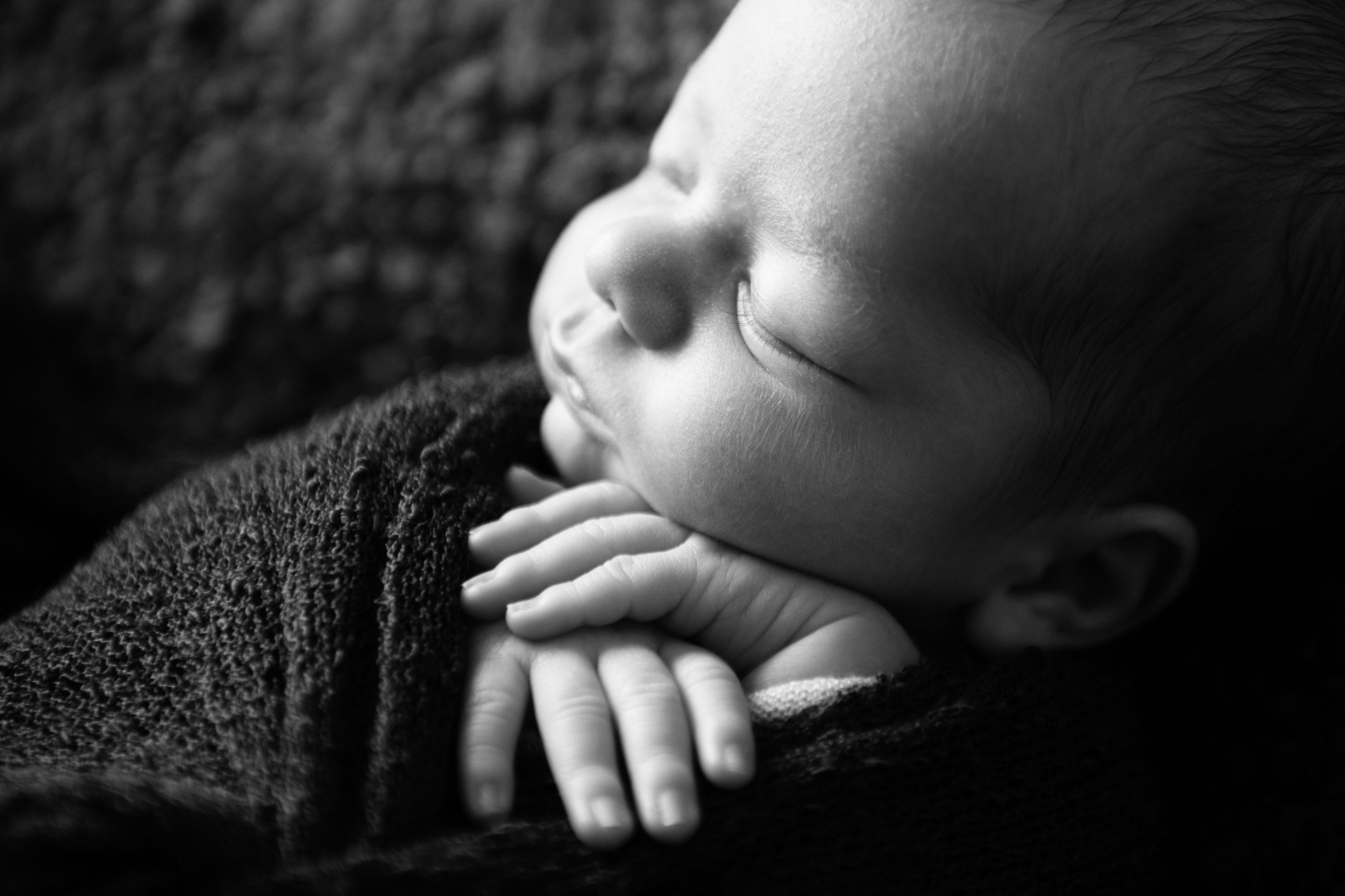 newborn baby boy sleeping black and white - boulder's best newborn photographer